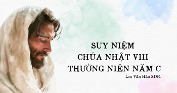 Suy niệm Chúa nhật VIII Thường Niên năm C