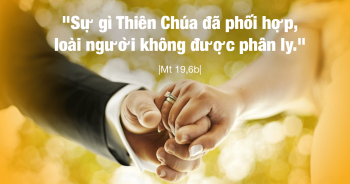 Vậy sự gì Thiên Chúa đã phối hợp, loài người không được phân ly