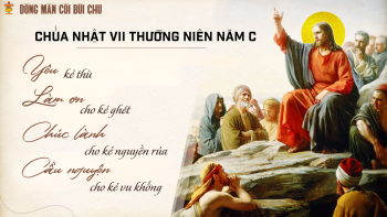 Chúa Nhật VII Thường Niên Năm C