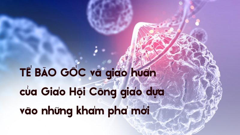 Tế bào gốc