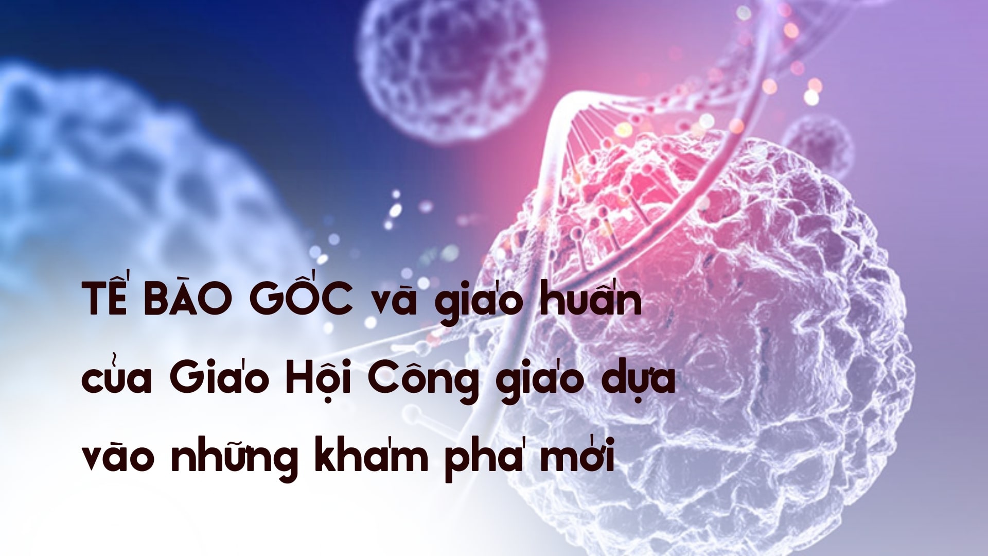 Tế bào gốc
